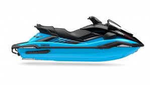 FX SVHO 2025