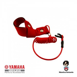 Llave de seguridad WR