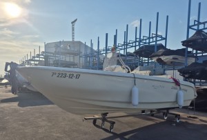 Invictus 190 FX + Yamaha 115cv