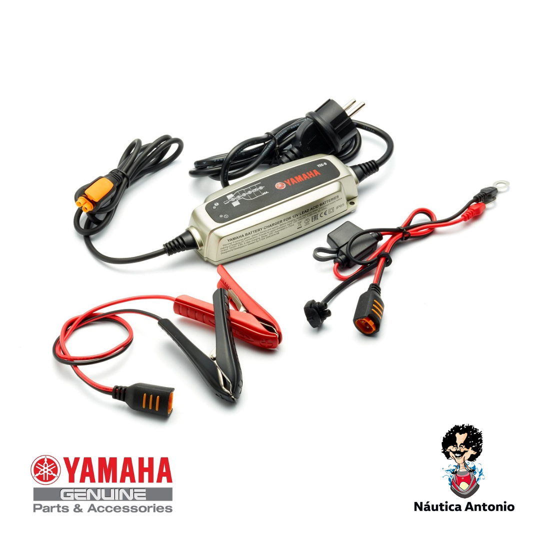 Cargador de batería YEC-9